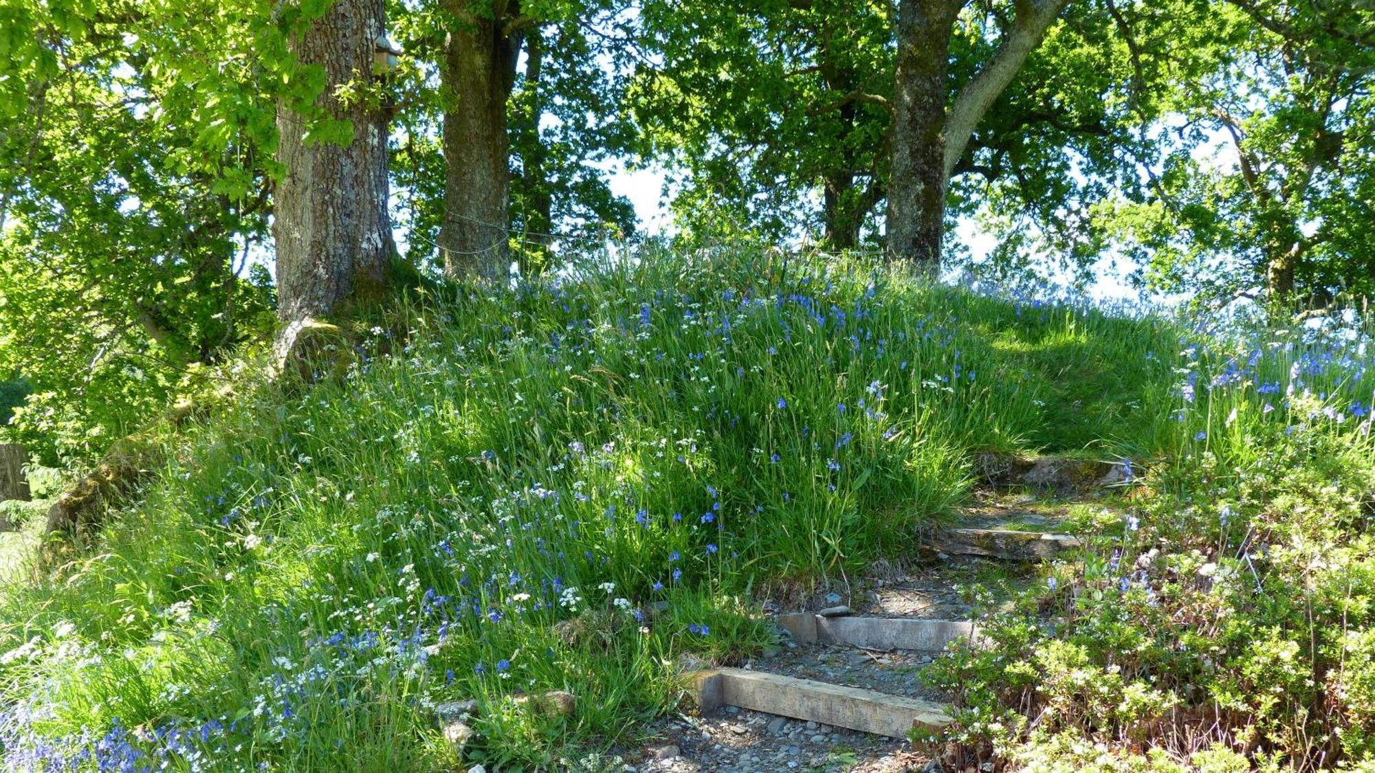 Blarghour Farm Cottages Ardchonnell 外观 照片